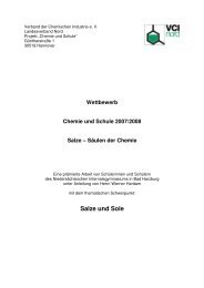 Wettbewerb Chemie und Schule 2007/2008 Salze - VCI Nord