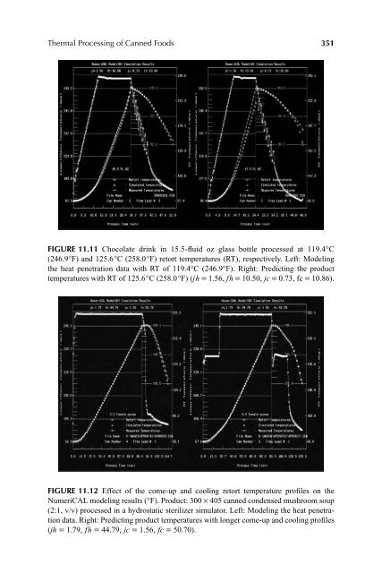 Thermal Food Processing