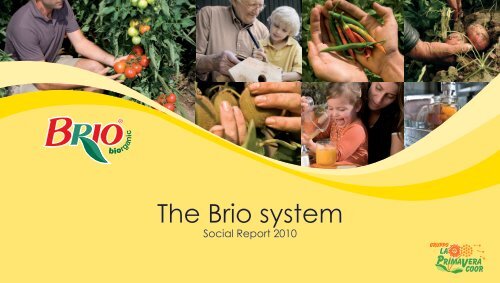 The Brio system - Brio Spa