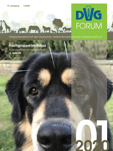 DVG_FORUM_1_2020_ONLINE