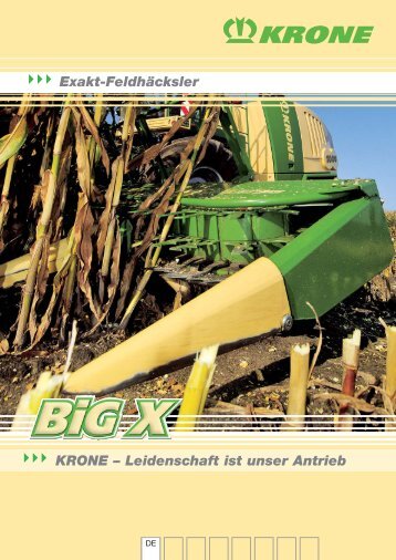 2009 BiG X DE