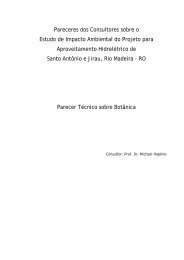 Pareceres dos Consultores sobre o Estudo de Impacto ... - Fase