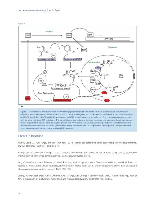 2013 Scientific Report