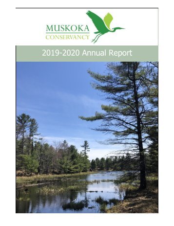 Annual Report 2020