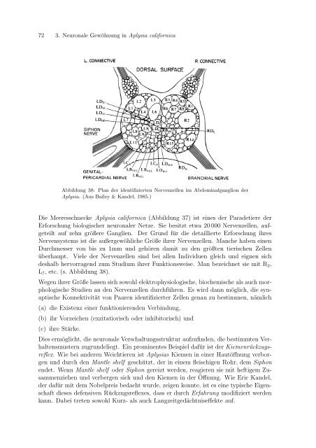 Diplomarbeit von Michael Schindler