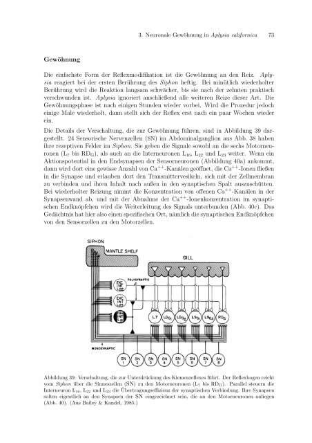 Diplomarbeit von Michael Schindler