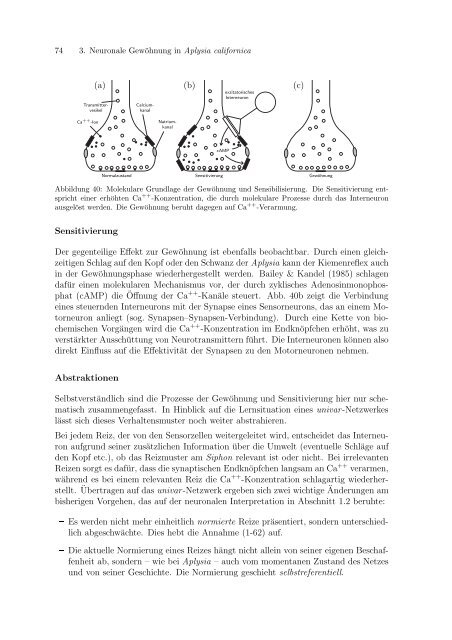 Diplomarbeit von Michael Schindler