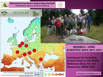 humus group - Territorio e Sistemi agro-forestali - Università degli ...