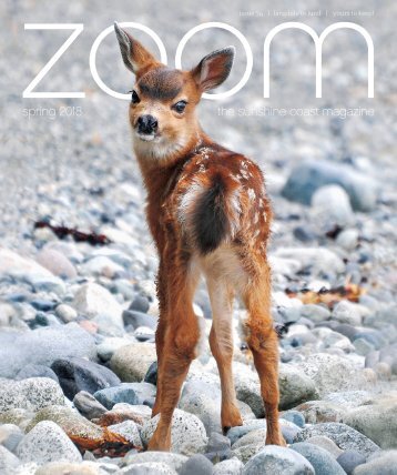 ZOOM | Spring 2018