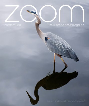 ZOOM | Summer 2018