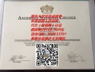 加拿大安德森国际学院毕业证样本Anderson National College|国外大学文凭成绩单制作加拿大大学留信网认证