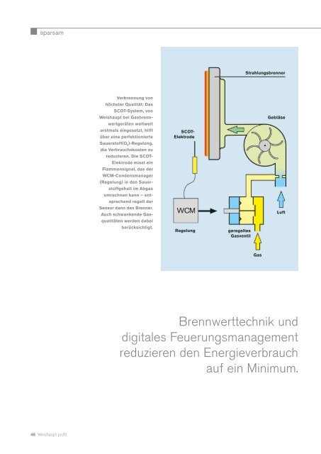 Download Prospekt 4.5 MB (pdf) - Weishaupt