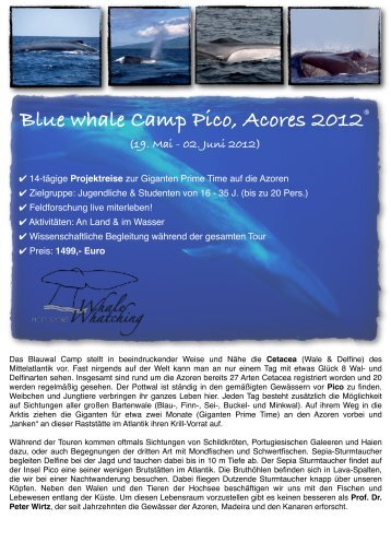 Blue whale Camp Pico, Acores 2012 - Scuba Azores