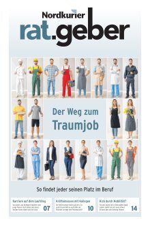Ratgeber Traumjob