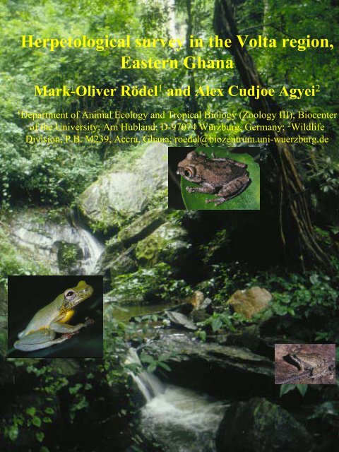 Herpetological survey in the Volta region, Eastern Ghana - Critical ...