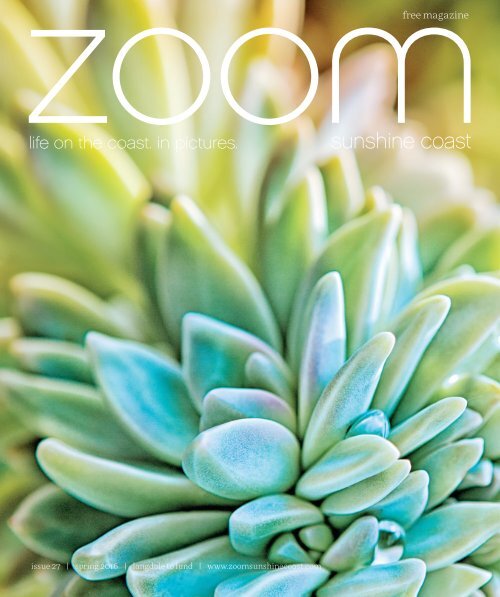 ZOOM | Spring 2016