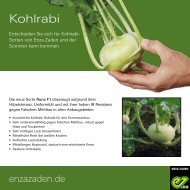 Leaflet Kohlrabi Runa 2020