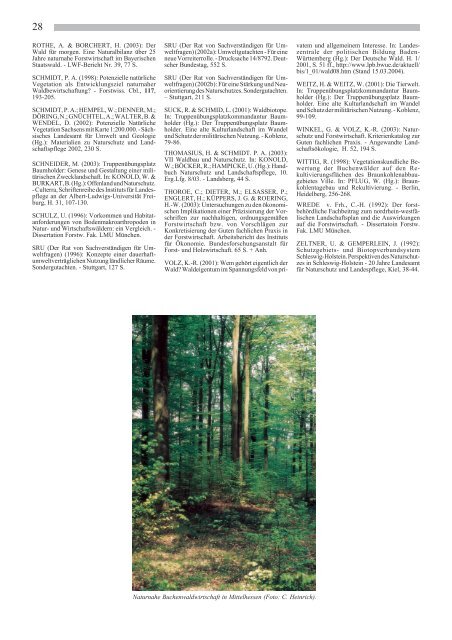 Der Beitrag der Waldwirtschaft zum Aufbau eines - Deutscher Rat für ...