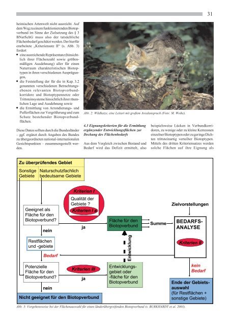 Der Beitrag der Waldwirtschaft zum Aufbau eines - Deutscher Rat für ...