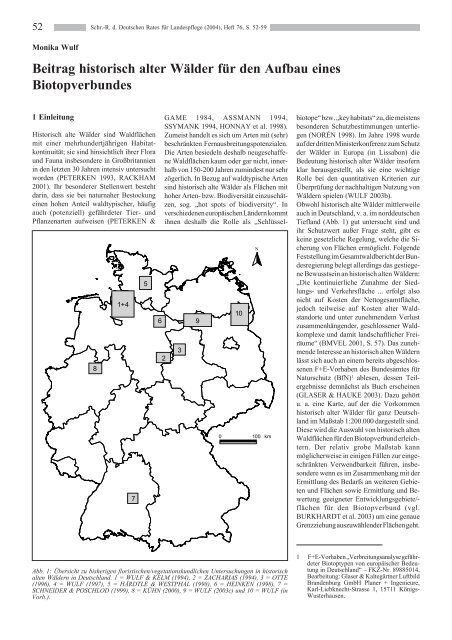 Der Beitrag der Waldwirtschaft zum Aufbau eines - Deutscher Rat für ...