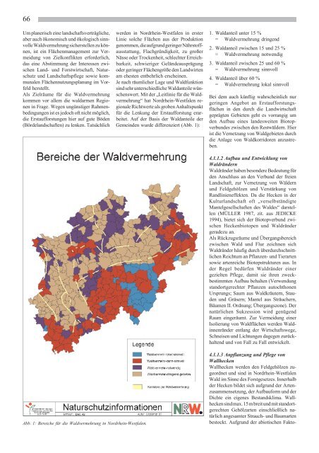 Der Beitrag der Waldwirtschaft zum Aufbau eines - Deutscher Rat für ...