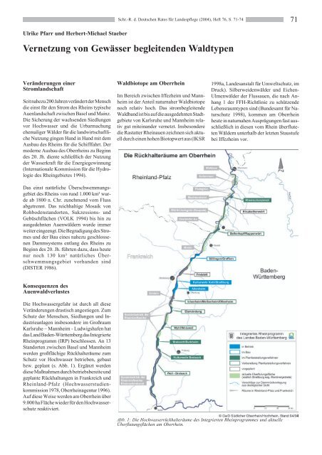 Der Beitrag der Waldwirtschaft zum Aufbau eines - Deutscher Rat für ...