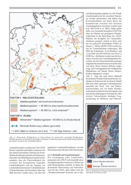 Der Beitrag der Waldwirtschaft zum Aufbau eines - Deutscher Rat für ...