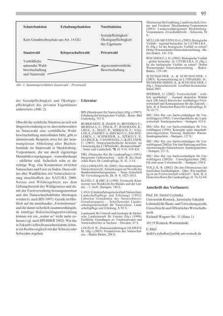 Der Beitrag der Waldwirtschaft zum Aufbau eines - Deutscher Rat für ...