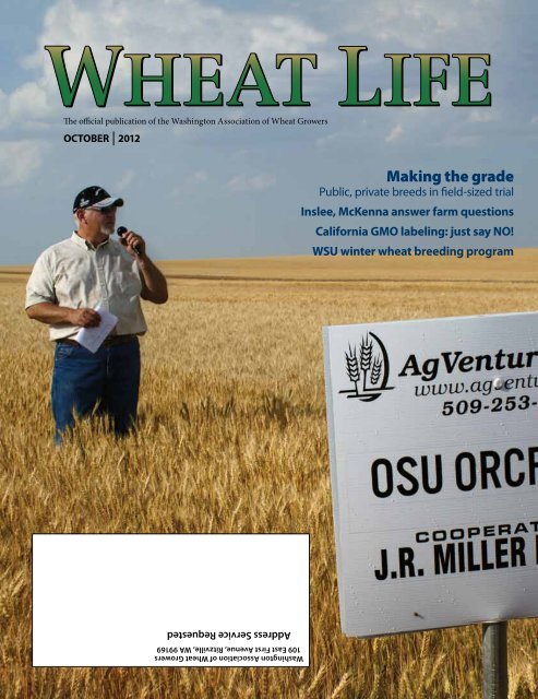 W A S HIN G T O NG R A IN C O MM IS S IO N - Wheat Life