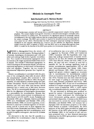 Meiosis in Asynaptic Yeast - Genetics
