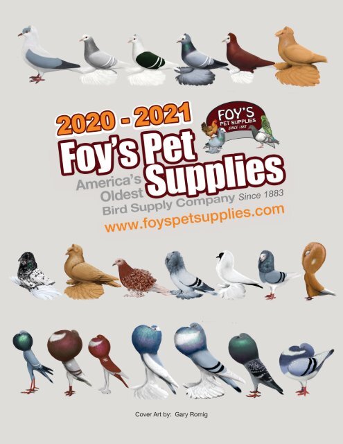 https://img.yumpu.com/63550232/1/500x640/2020-2021-foys-pet-supplies-catalog.jpg