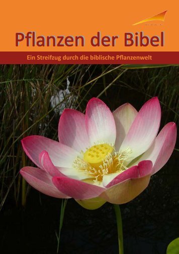 Bibelpflanzen