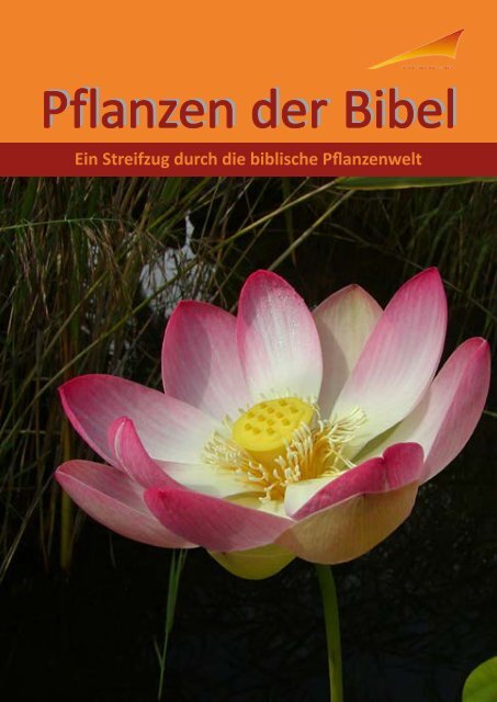 Bibelpflanzen