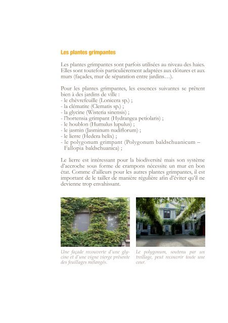 Les jardins et espaces extérieurs privés - guides des bonnes pratiques