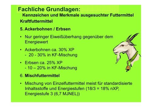 Grundlagen zur praxisorientierten Ziegenfütterung - Landesverband ...