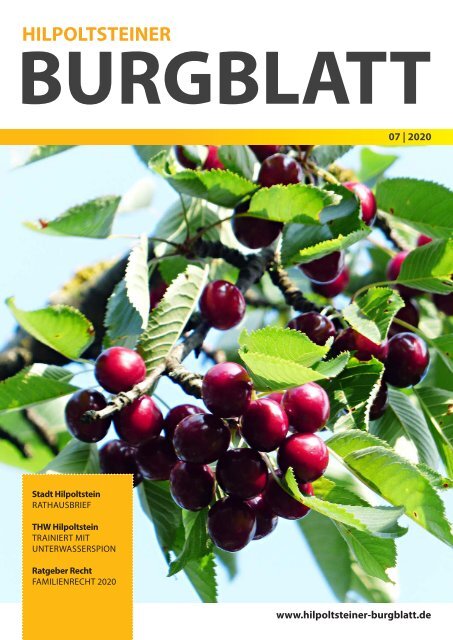 Burgblatt 2020 07
