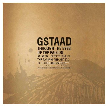 Gstaad Through The Eyes of the Falcon