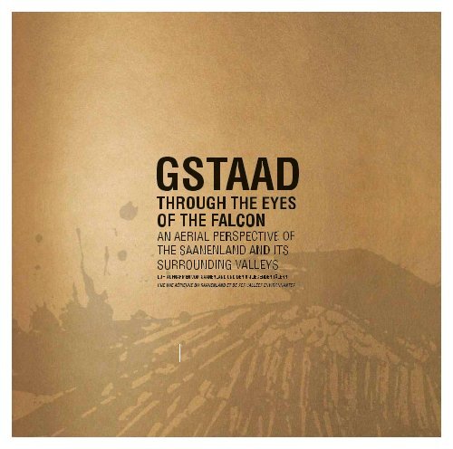 Gstaad Through The Eyes of the Falcon