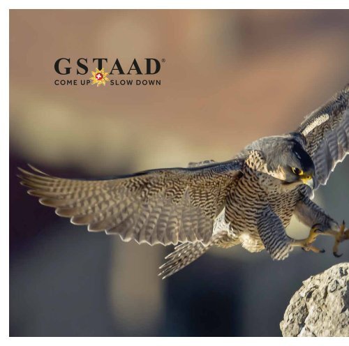 Gstaad Through The Eyes of the Falcon