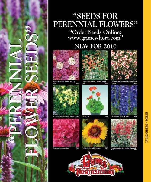 Perennial Seeds