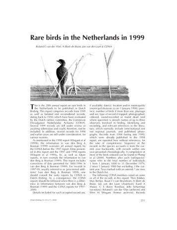 T Rare birds in the Netherlands in 1999 - Dutch Birding