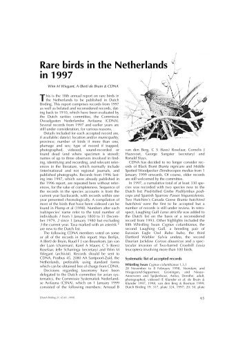 T Rare birds in the Netherlands in 1997 - Dutch Birding