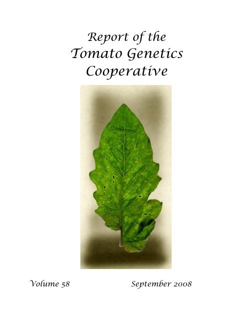 Report of the Tomato Genetics Cooperative Number 58