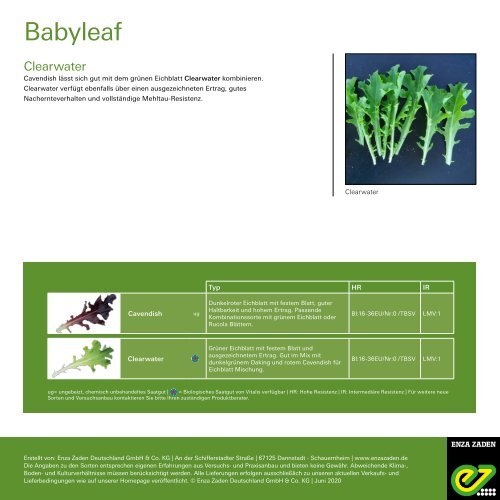 Leaflet Babyleaf 2020