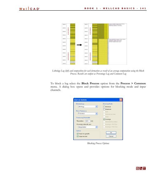 WellCAD Basics - Advanced Logic Technology