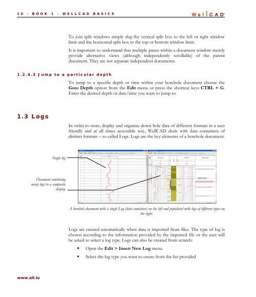 WellCAD Basics - Advanced Logic Technology