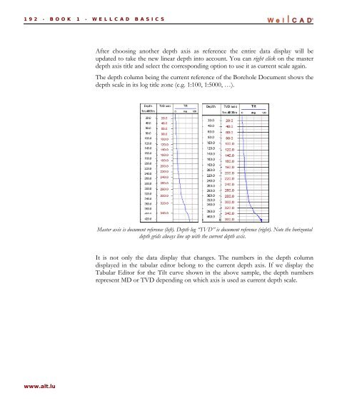 WellCAD Basics - Advanced Logic Technology