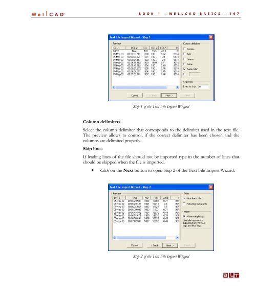 WellCAD Basics - Advanced Logic Technology