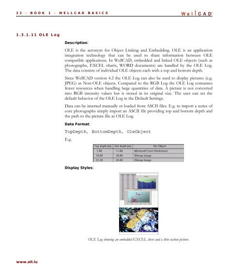 WellCAD Basics - Advanced Logic Technology