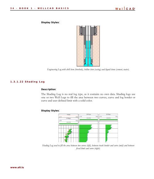 WellCAD Basics - Advanced Logic Technology